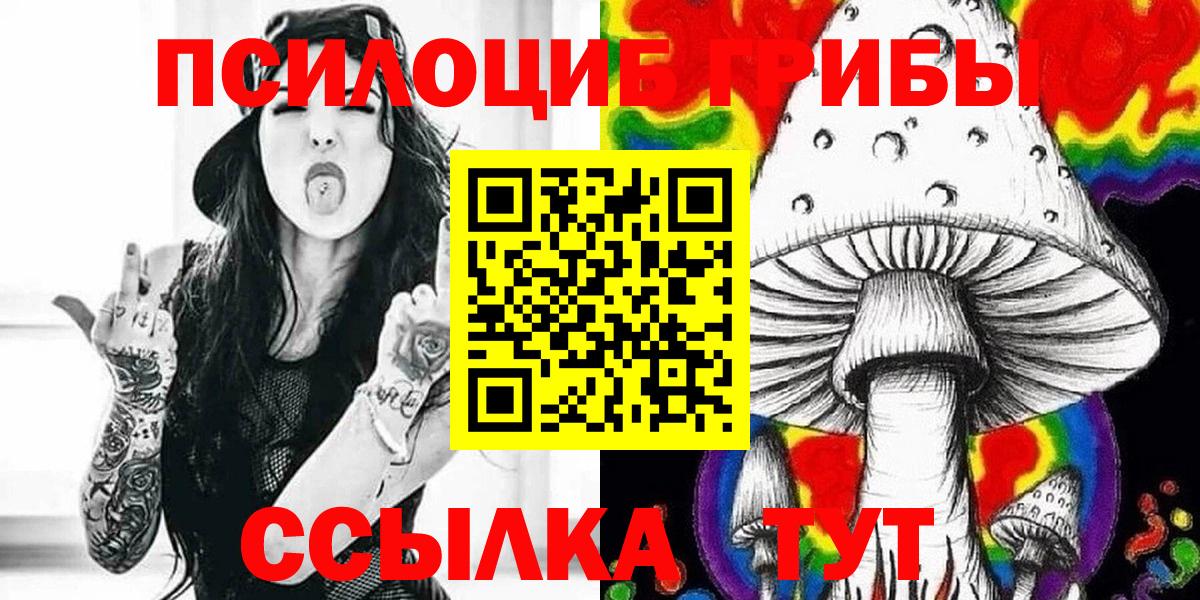 Галлюциногенные грибы Psilocybe Алексеевка